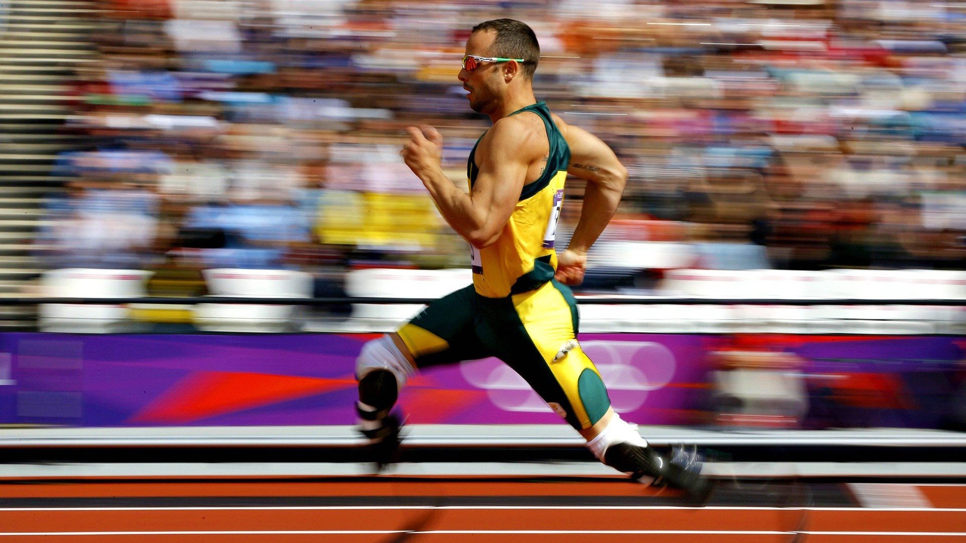 九游体育官网-女子蝶泳划频节奏变化曲线对比图，女子蝶泳100